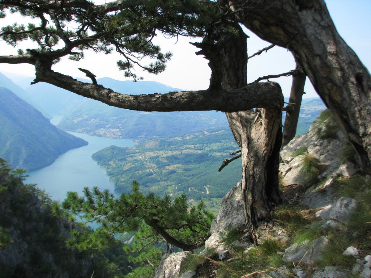 Vila Vila Dodi Bajina Basta Exteriér fotografie