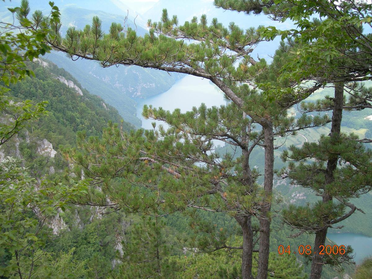 Vila Vila Dodi Bajina Basta Exteriér fotografie