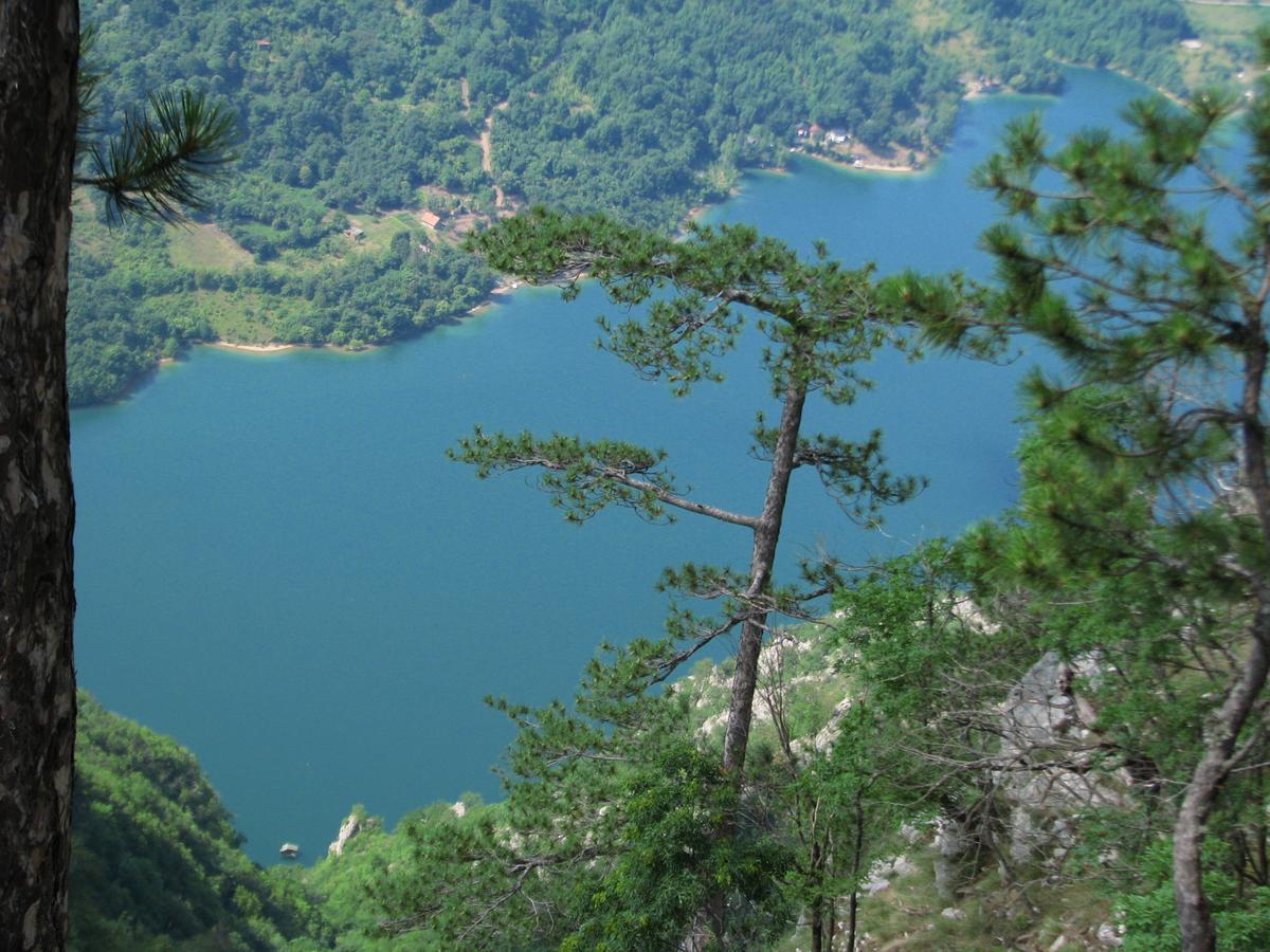 Vila Vila Dodi Bajina Basta Exteriér fotografie