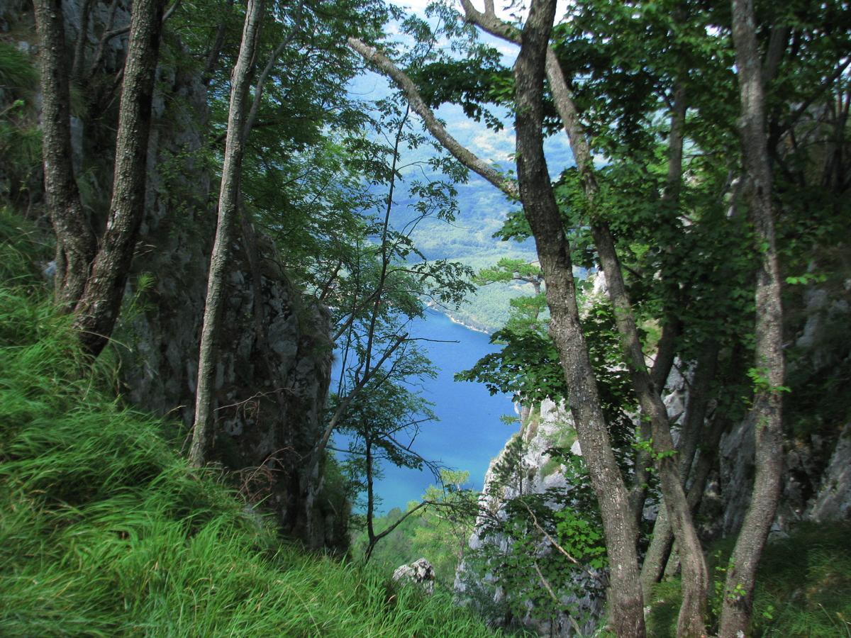 Vila Vila Dodi Bajina Basta Exteriér fotografie