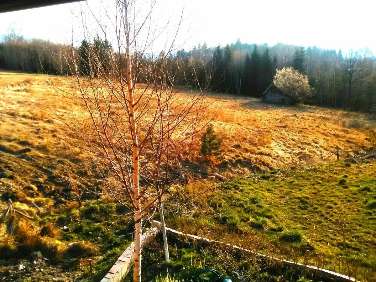 Vila Vila Dodi Bajina Basta Exteriér fotografie