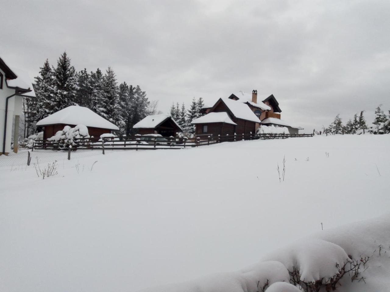 Vila Vila Dodi Bajina Basta Exteriér fotografie